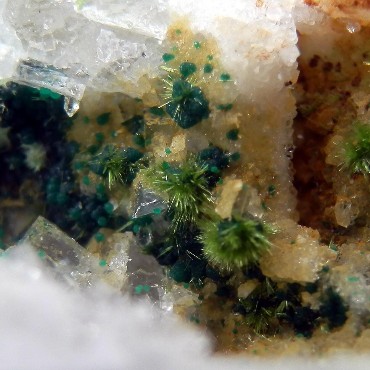 Agardite & Cornwallite