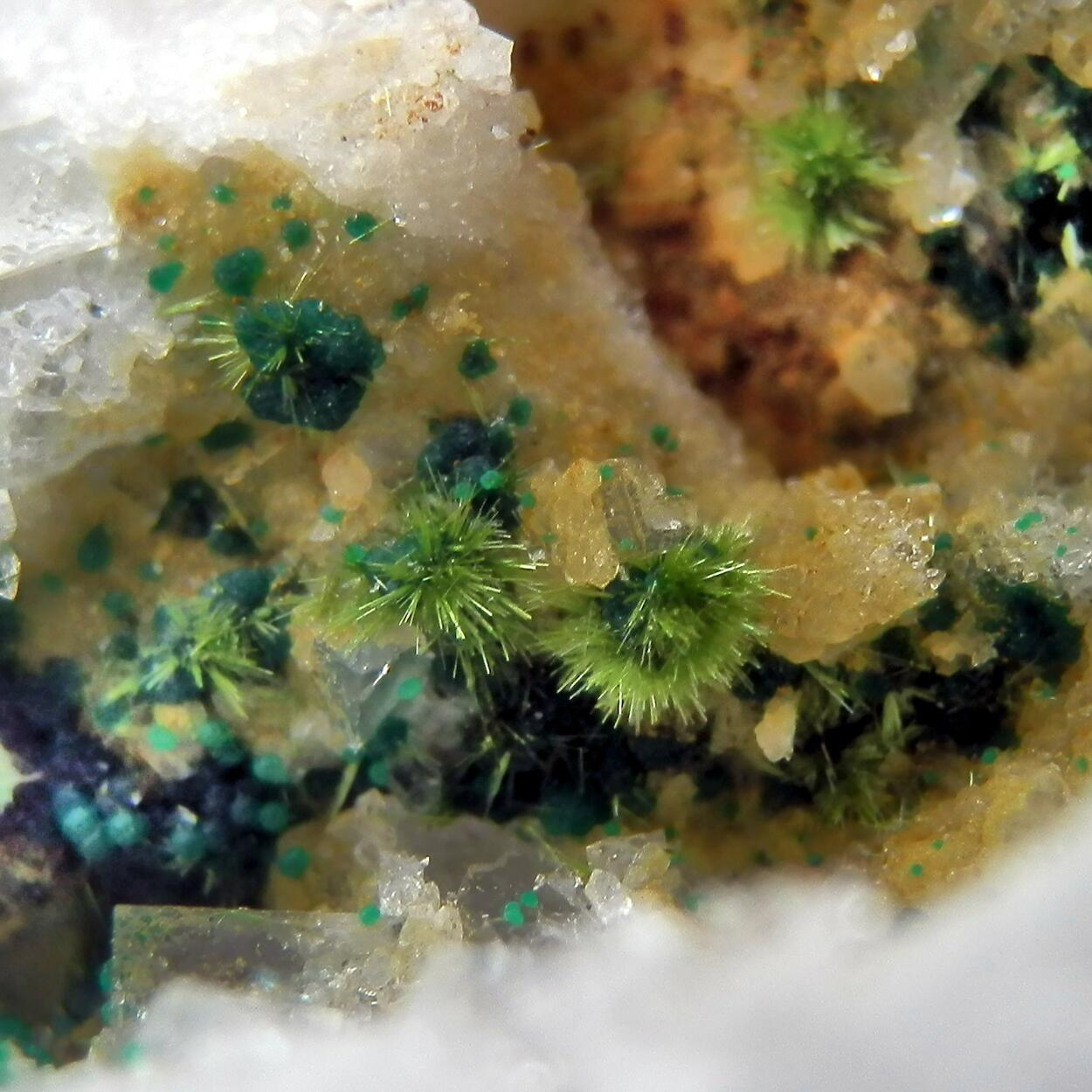 Agardite & Cornwallite