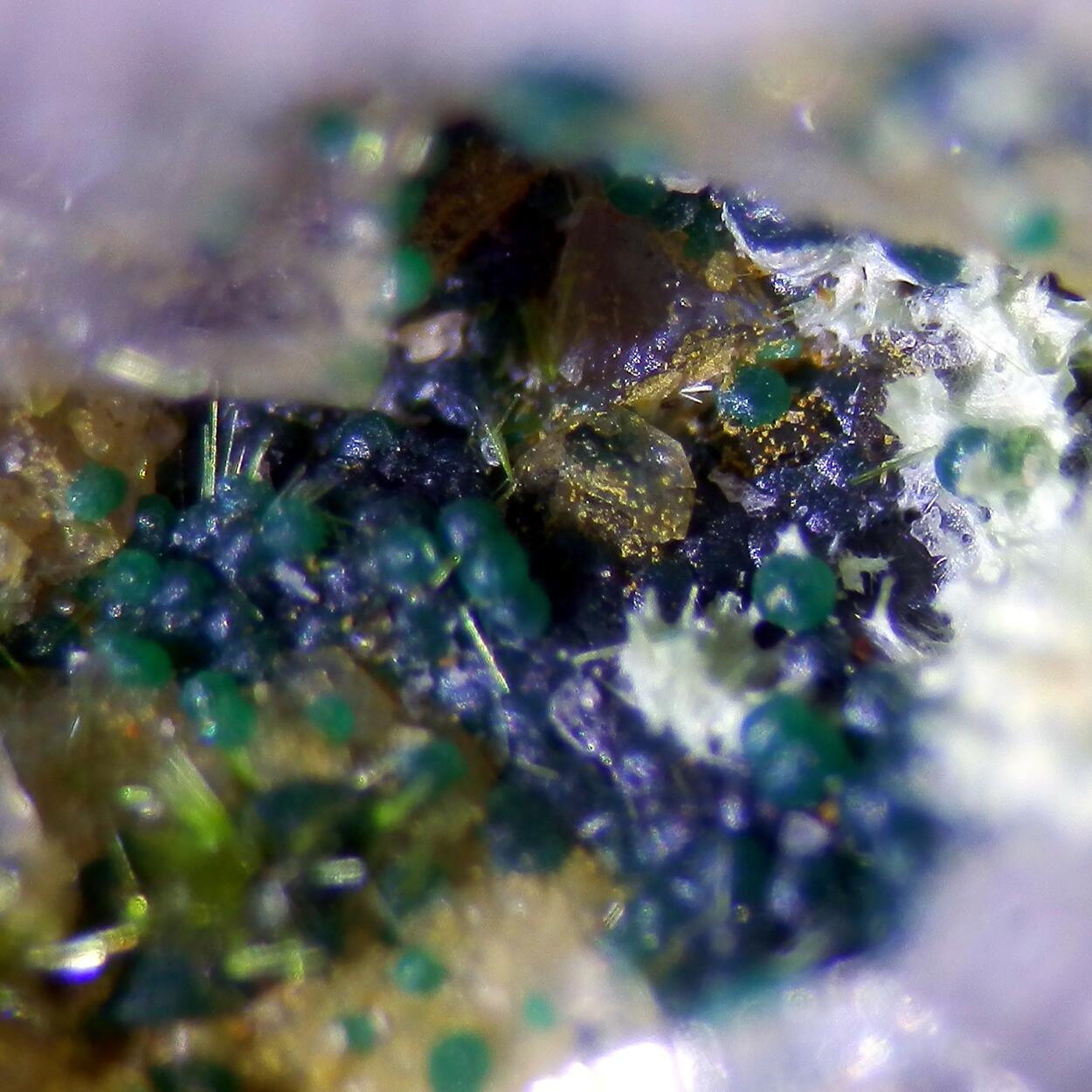 Agardite & Cornwallite
