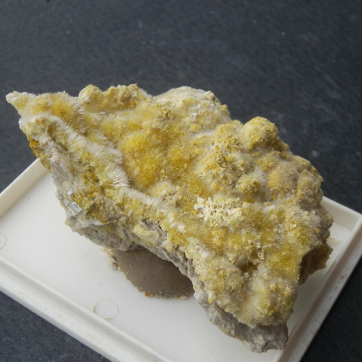 Halotrichite & Pickeringite