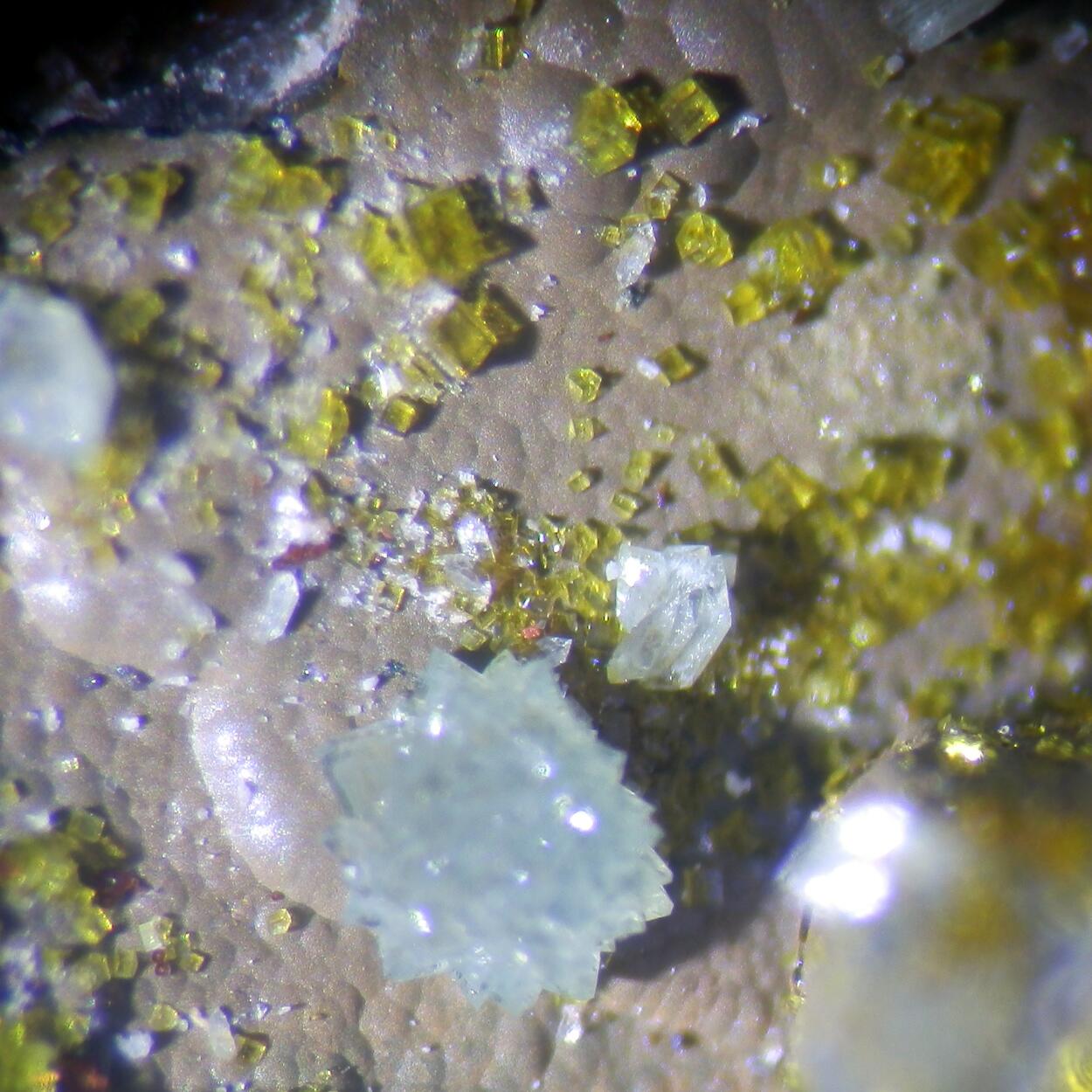 Scorodite & Bariopharmacosiderite