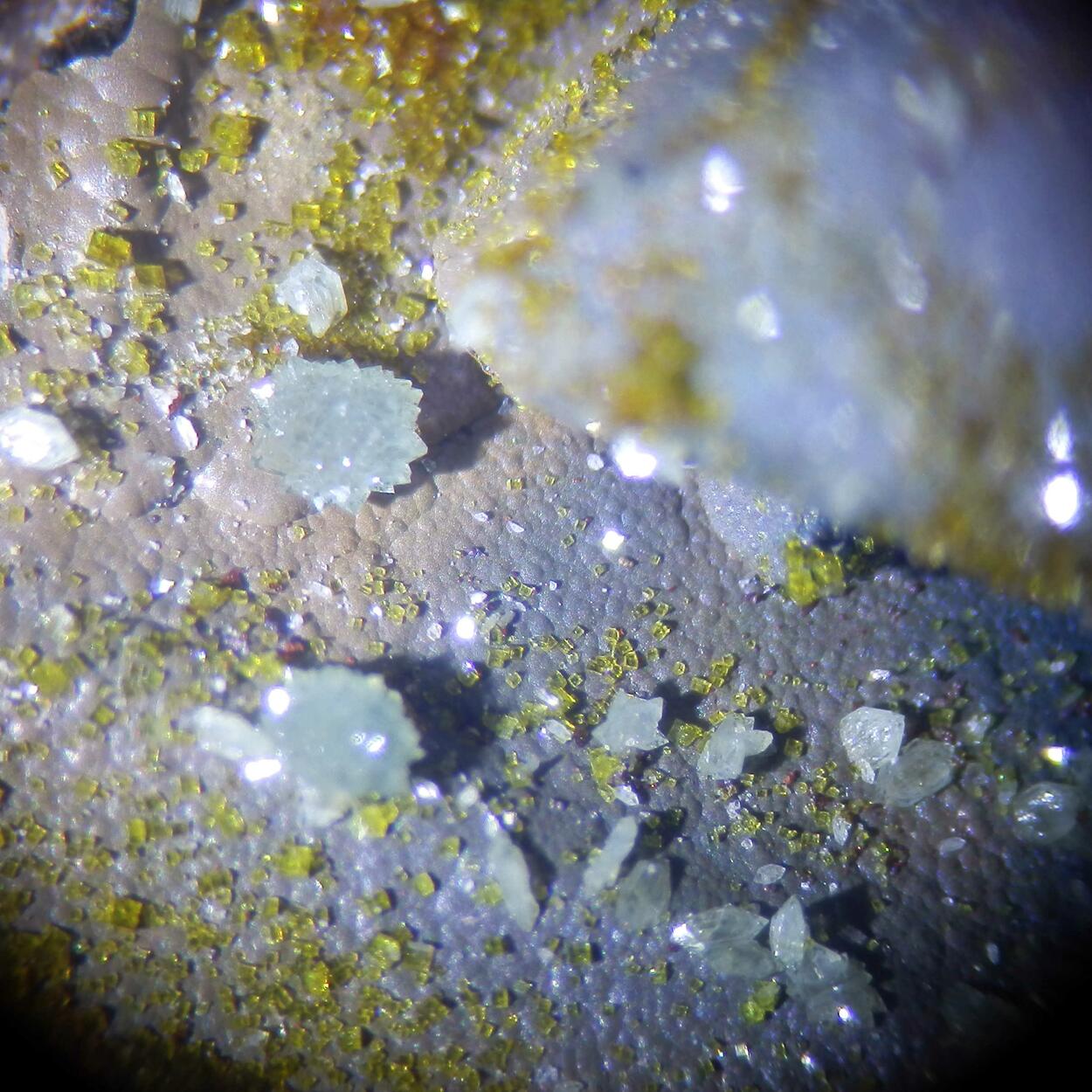 Scorodite & Bariopharmacosiderite