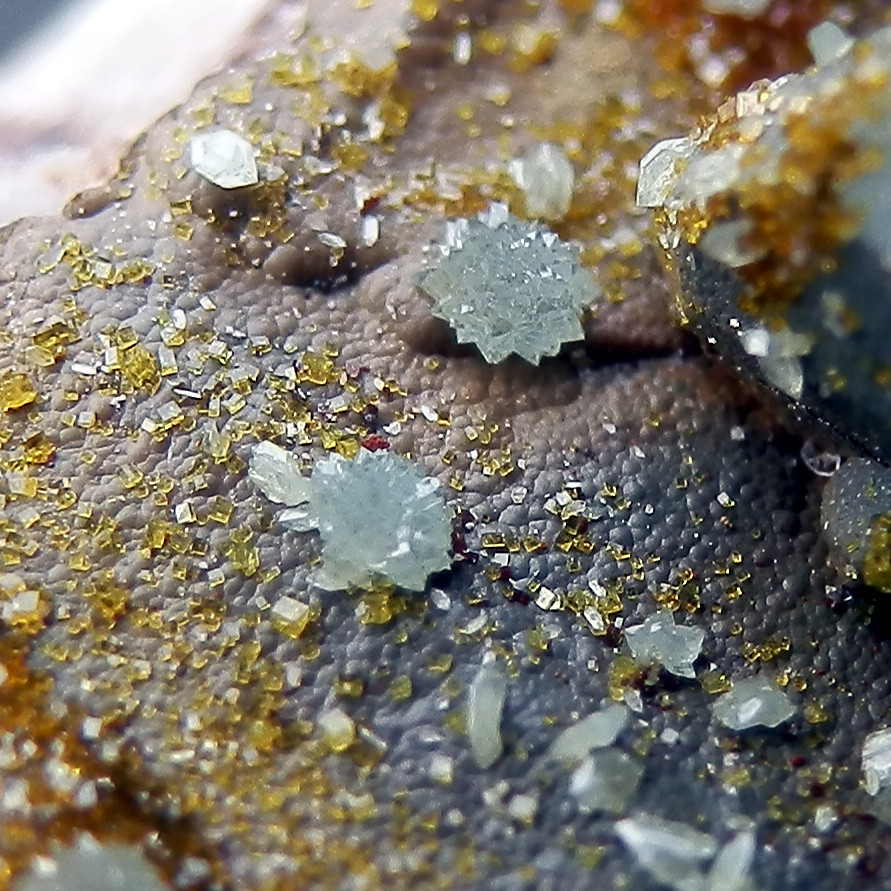 Scorodite & Bariopharmacosiderite