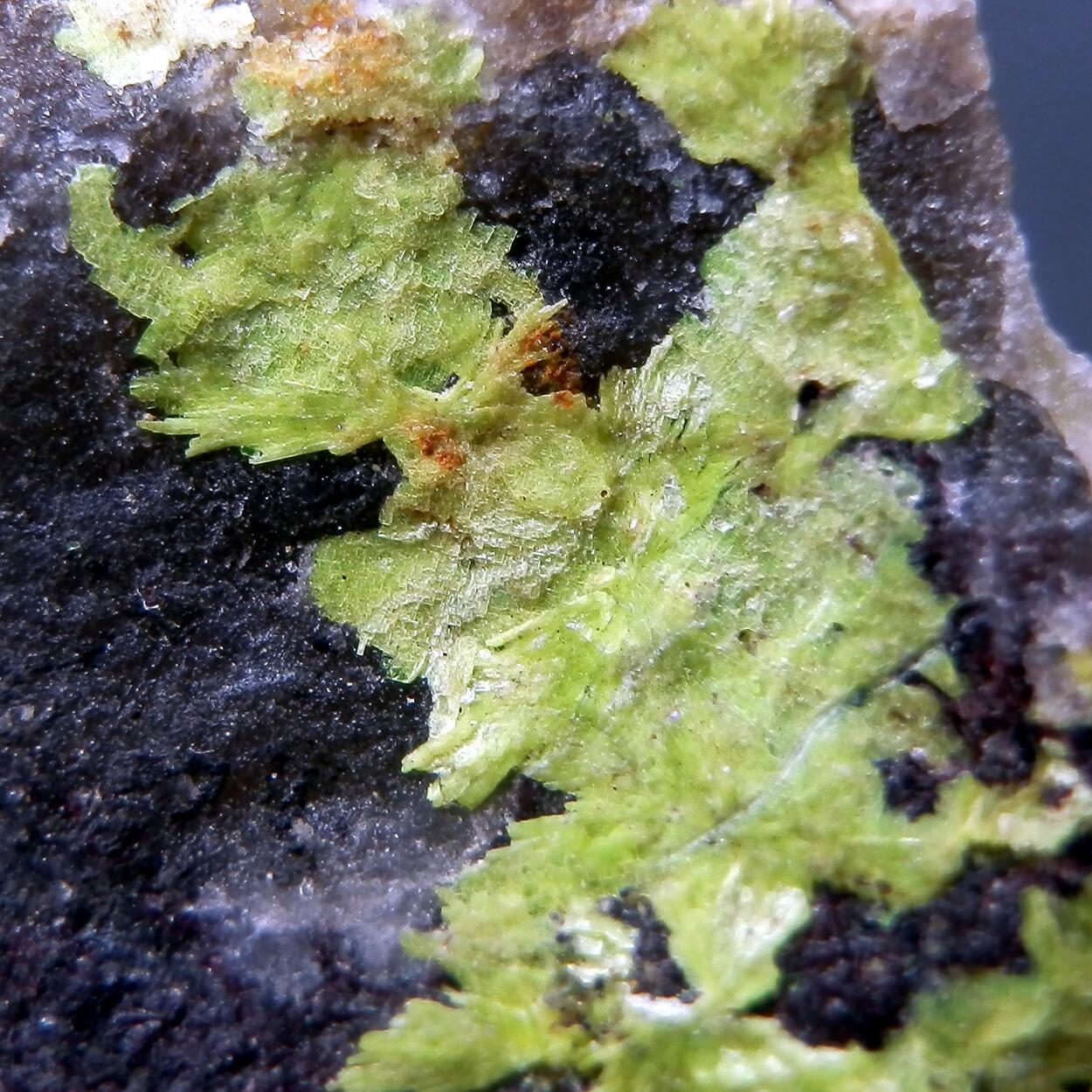 Uranocircite