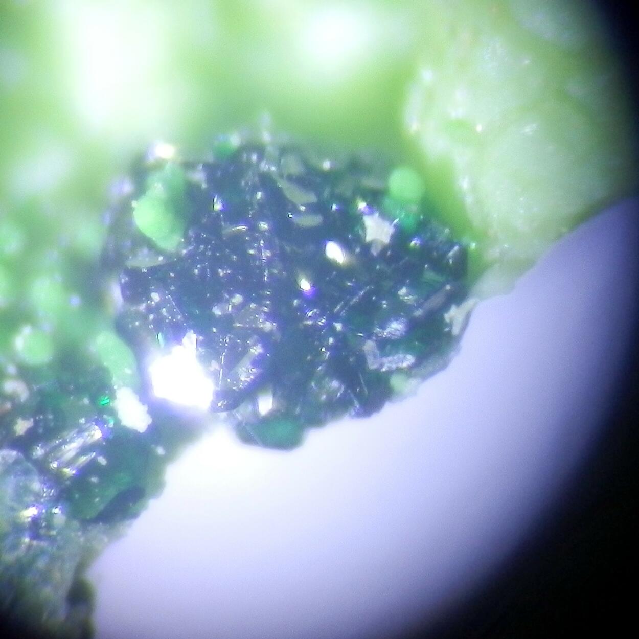 Gillardite & Gaspéite