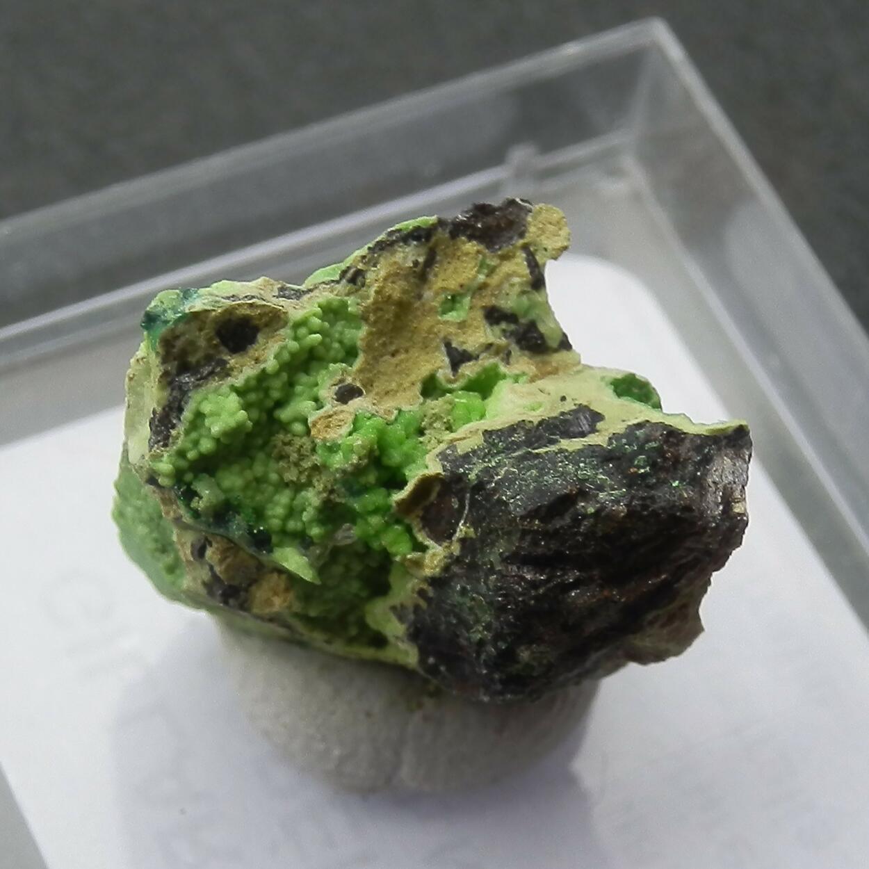 Gillardite & Gaspéite