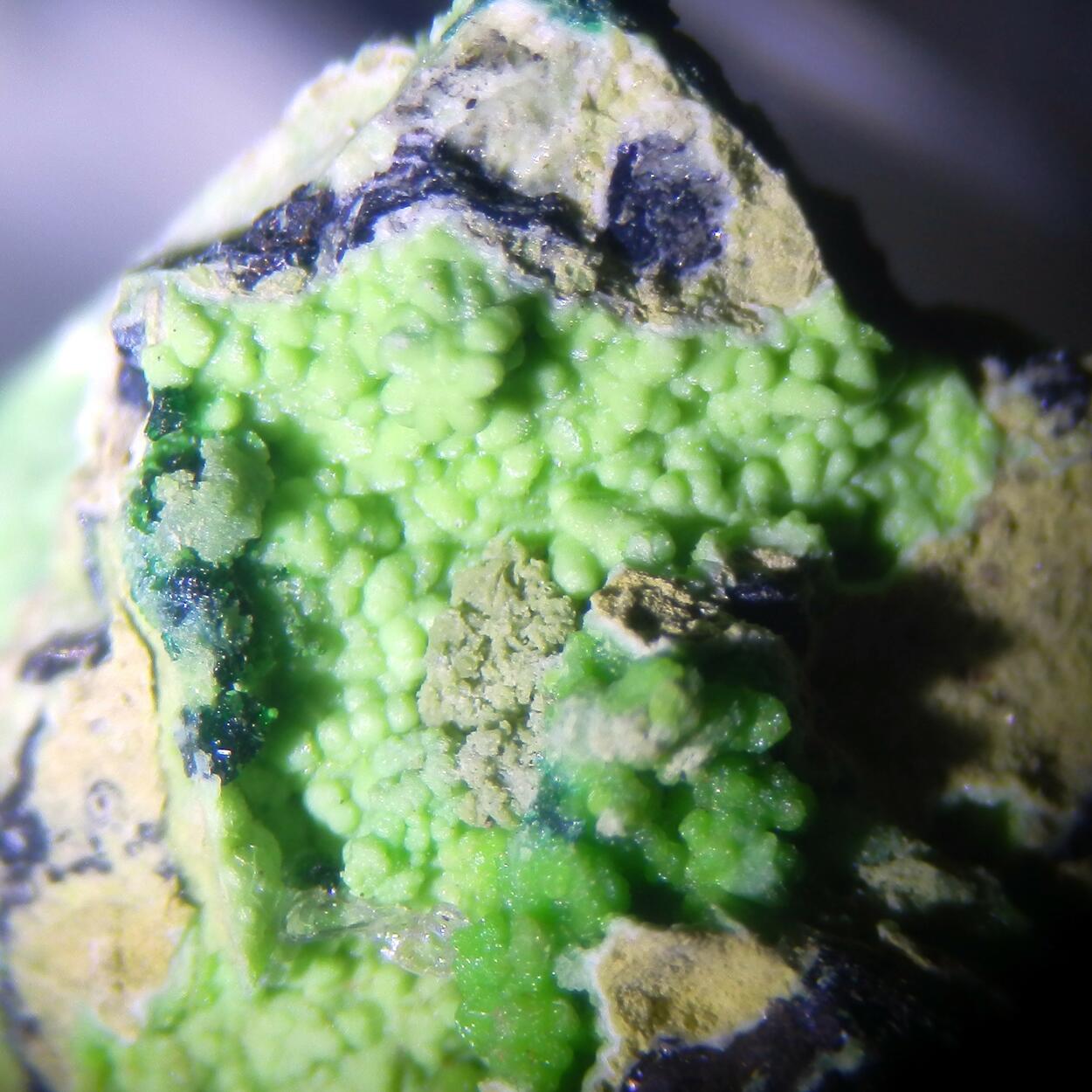 Gillardite & Gaspéite