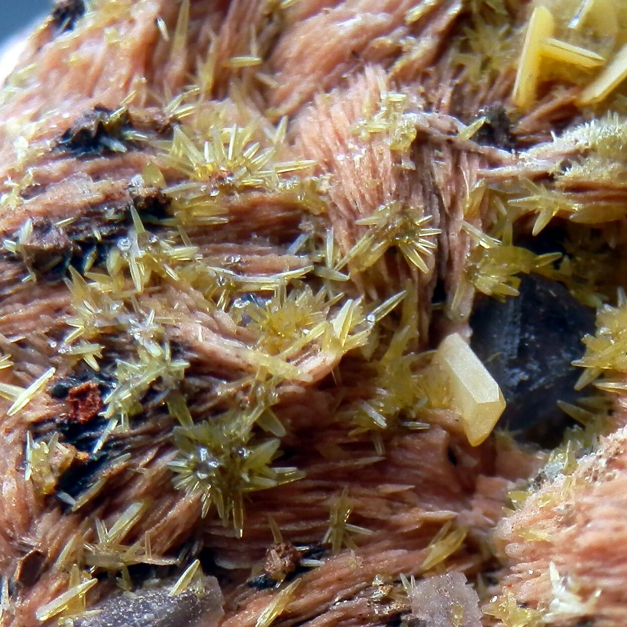 Mimetite & Wulfenite