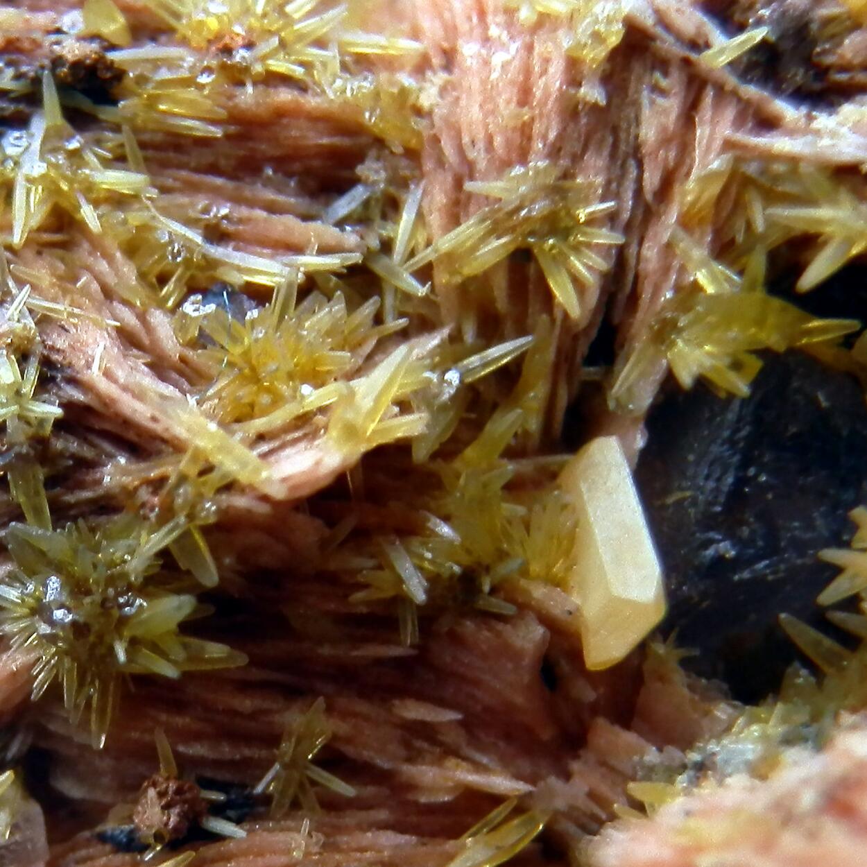 Mimetite & Wulfenite