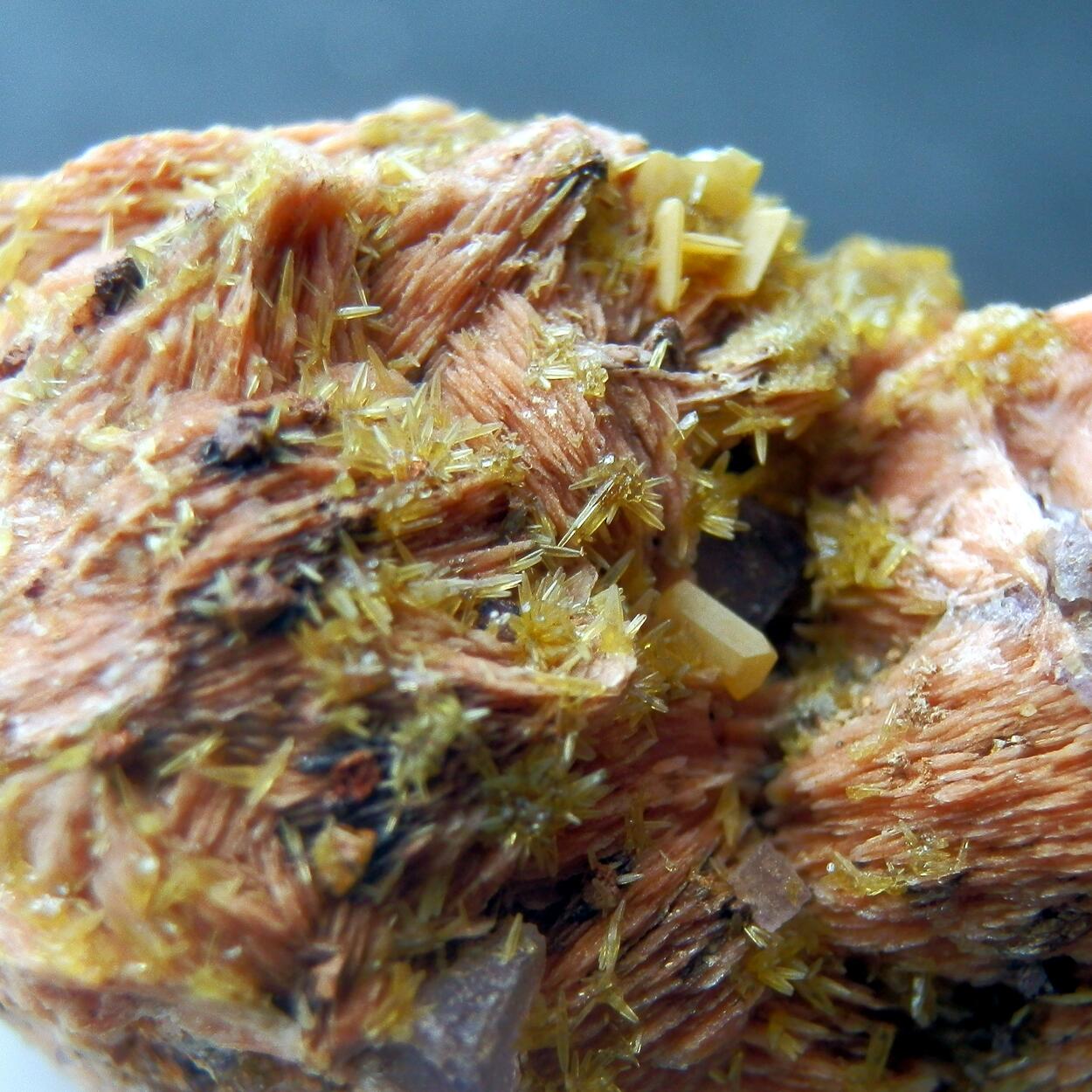 Mimetite & Wulfenite