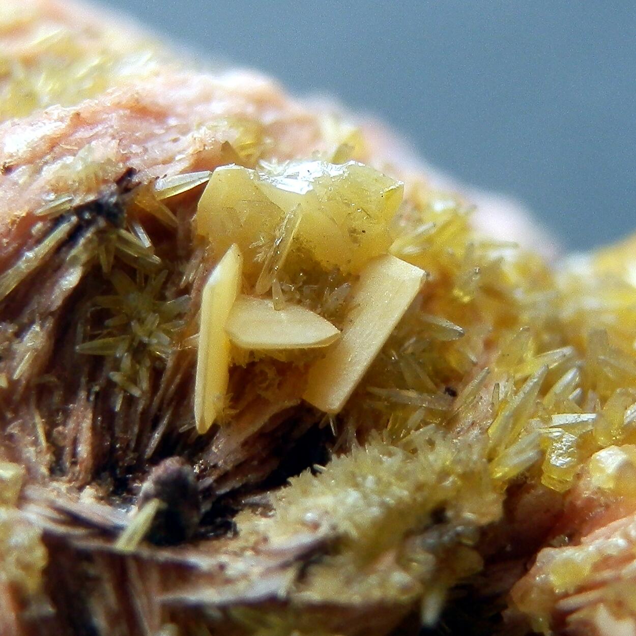 Mimetite & Wulfenite