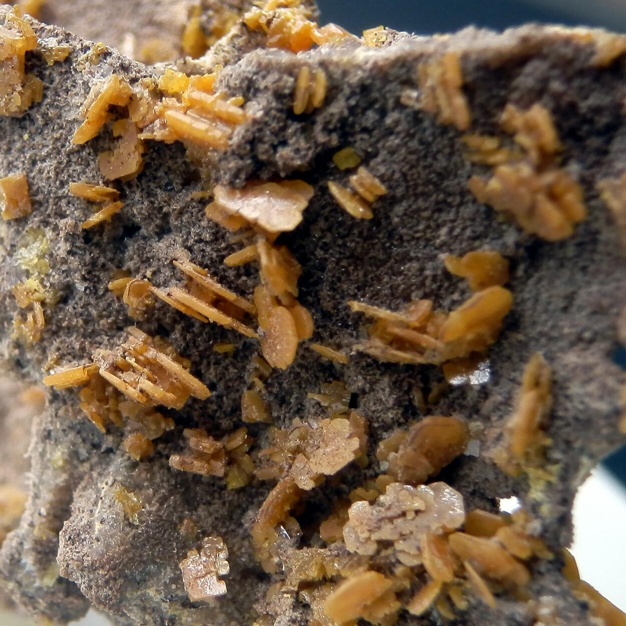 Wulfenite