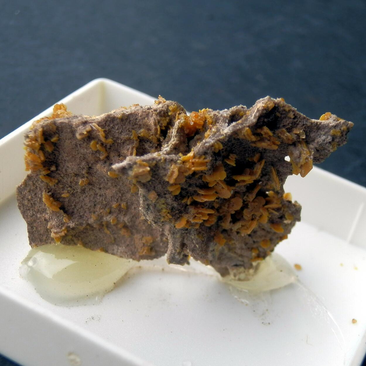 Wulfenite