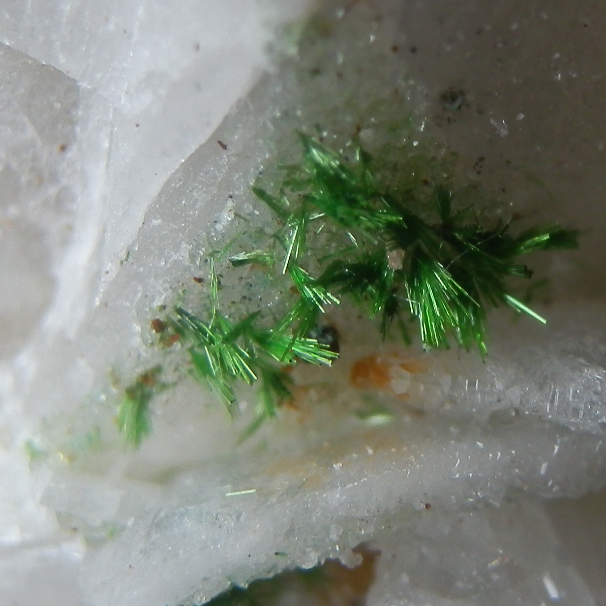 Agardite