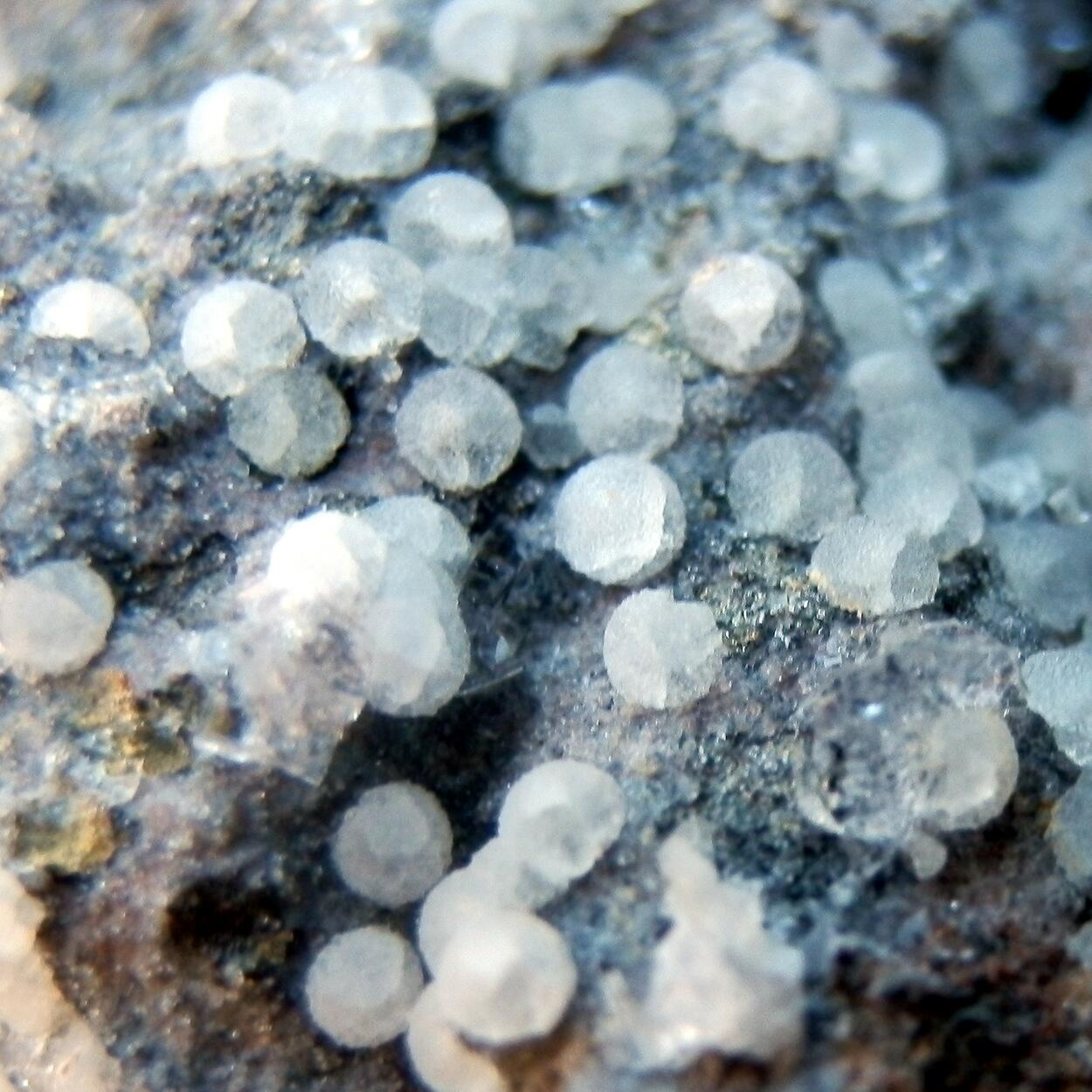 Phillipsite & Chabazite & Offretite