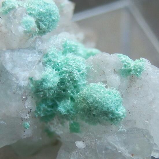 Mixed Minerals