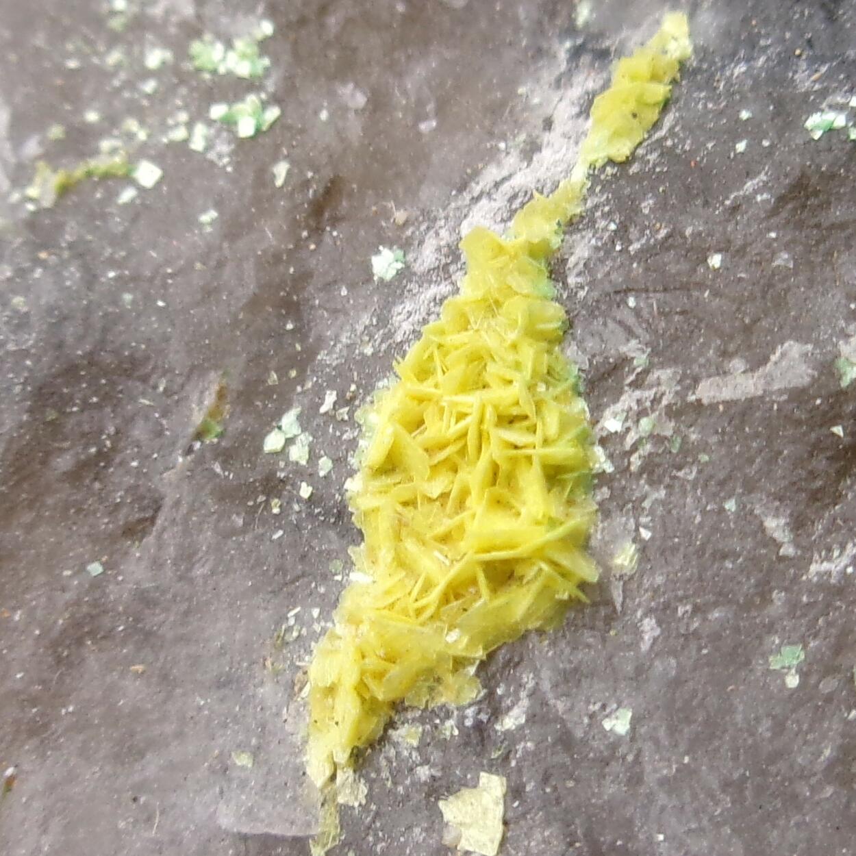 Torbernite & Autunite