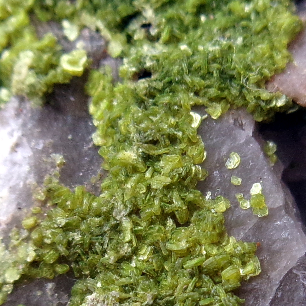 Autunite