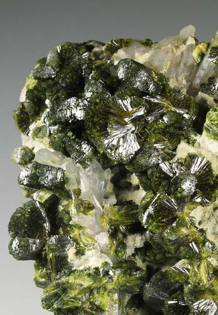 Epidote Quartz & Actinolite