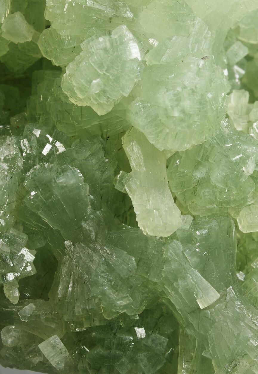 Prehnite & Actinolite