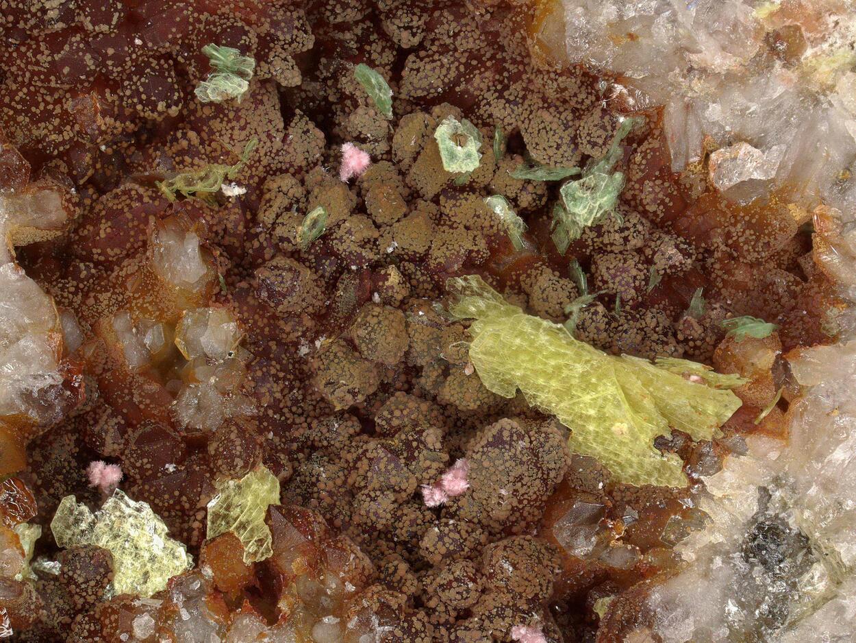 Metanováčekite With Torbernite & Erythrite