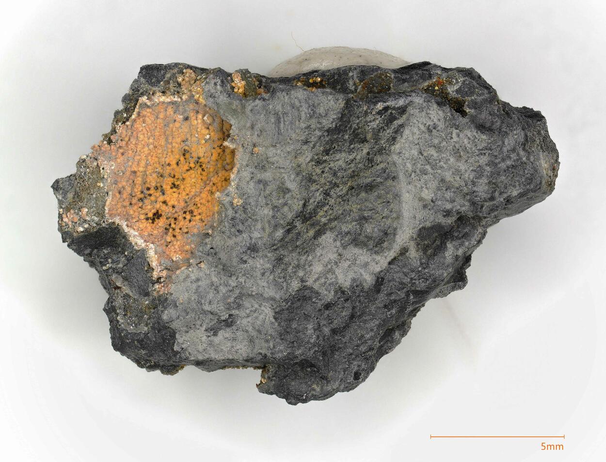 Bastnäsite-(Ce) & Synchisite-(Ce)