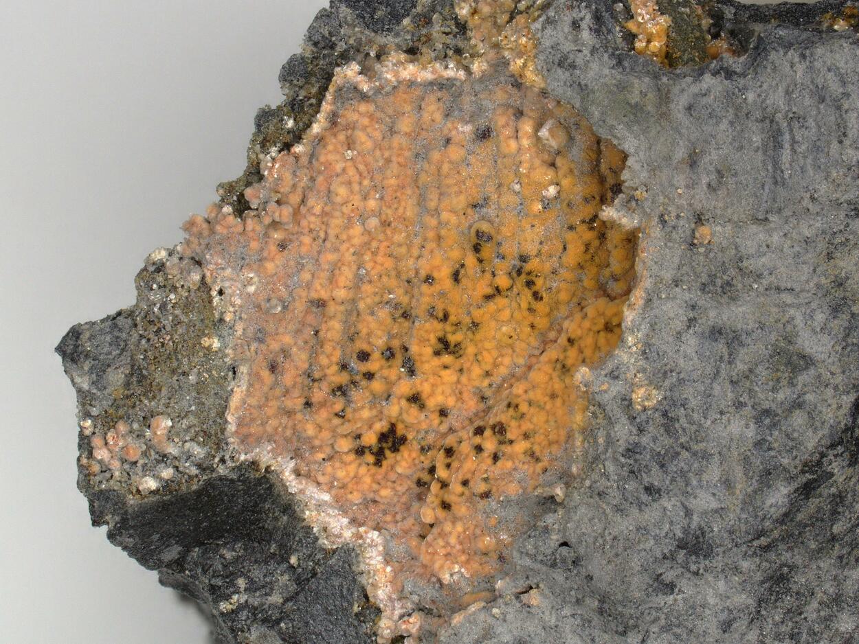 Bastnäsite-(Ce) & Synchisite-(Ce)