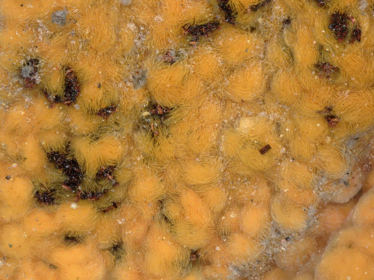 Bastnäsite-(Ce) & Synchisite-(Ce)