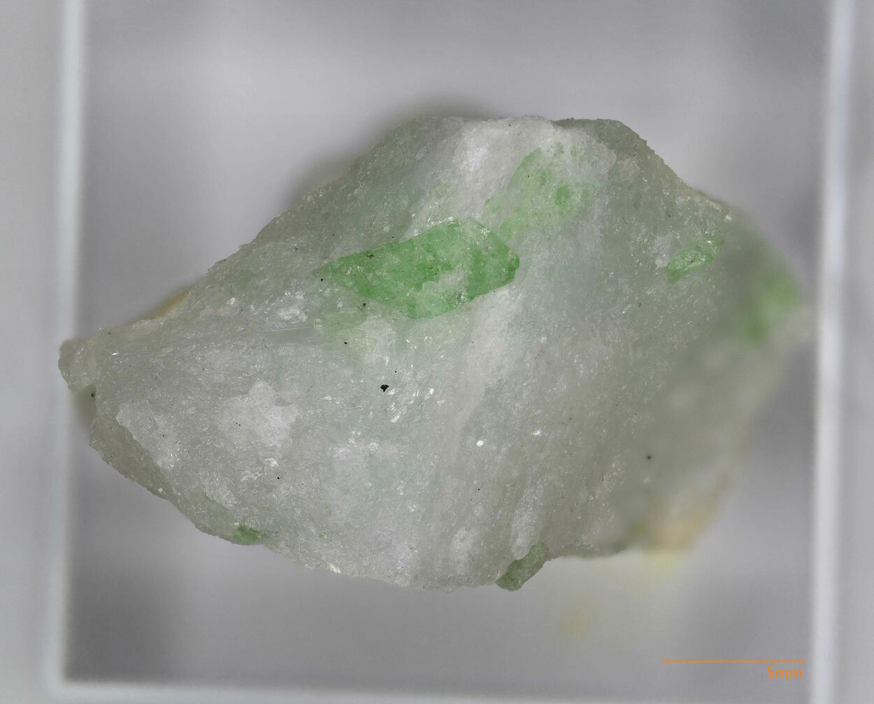 Pargasite