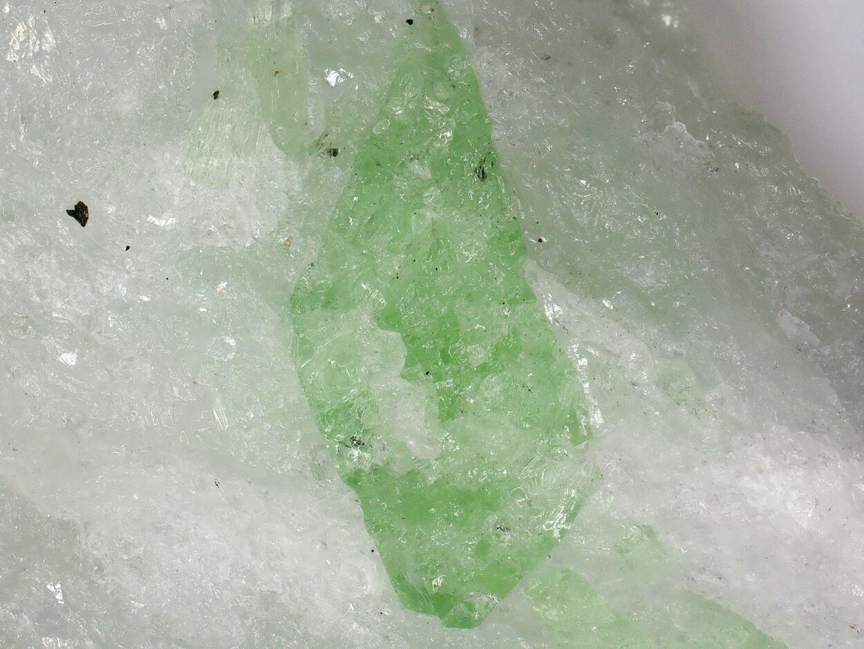 Pargasite