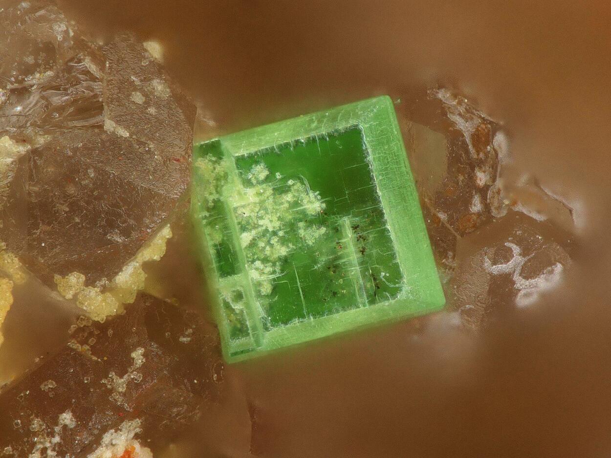 Walpurgite & Metatorbernite