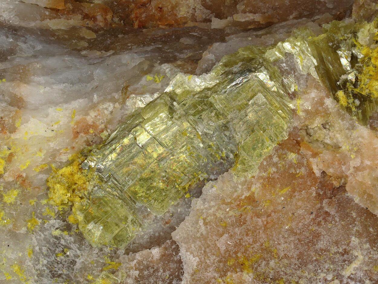 Fourmarierite & Saléeite