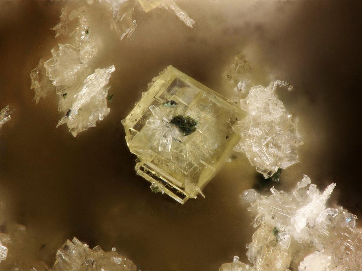 Benyacarite