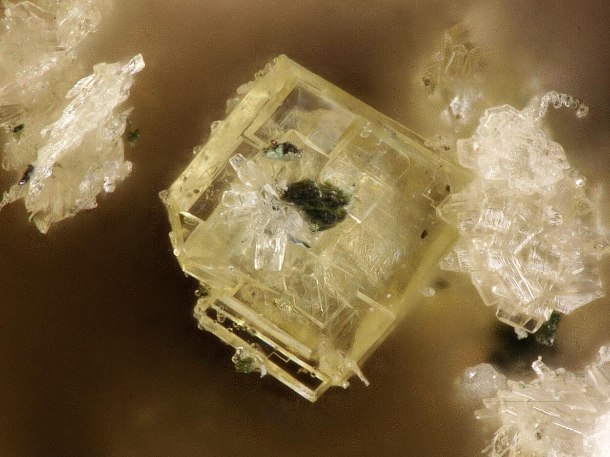 Benyacarite