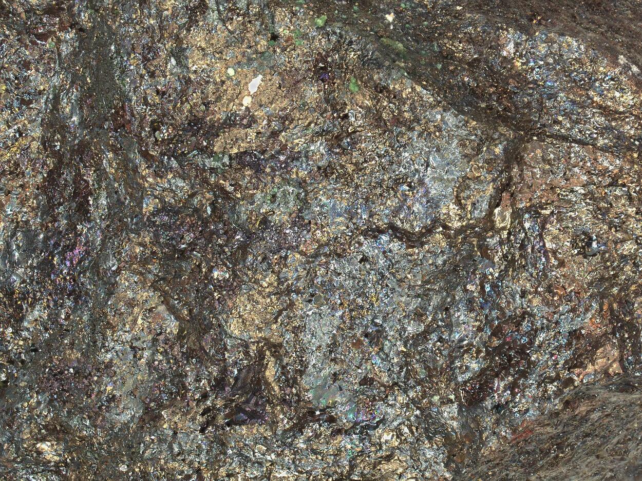 Renierite