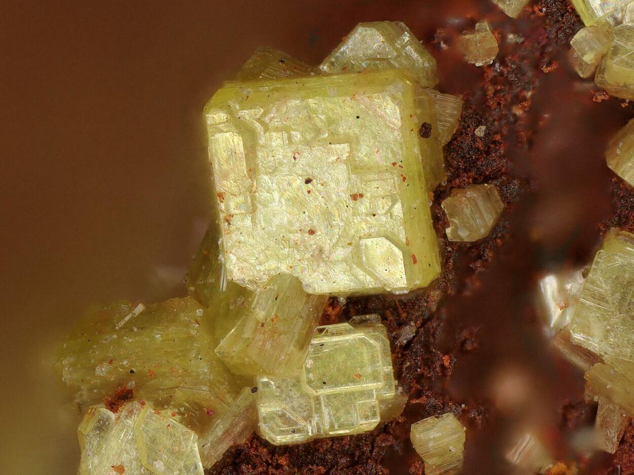 Autunite