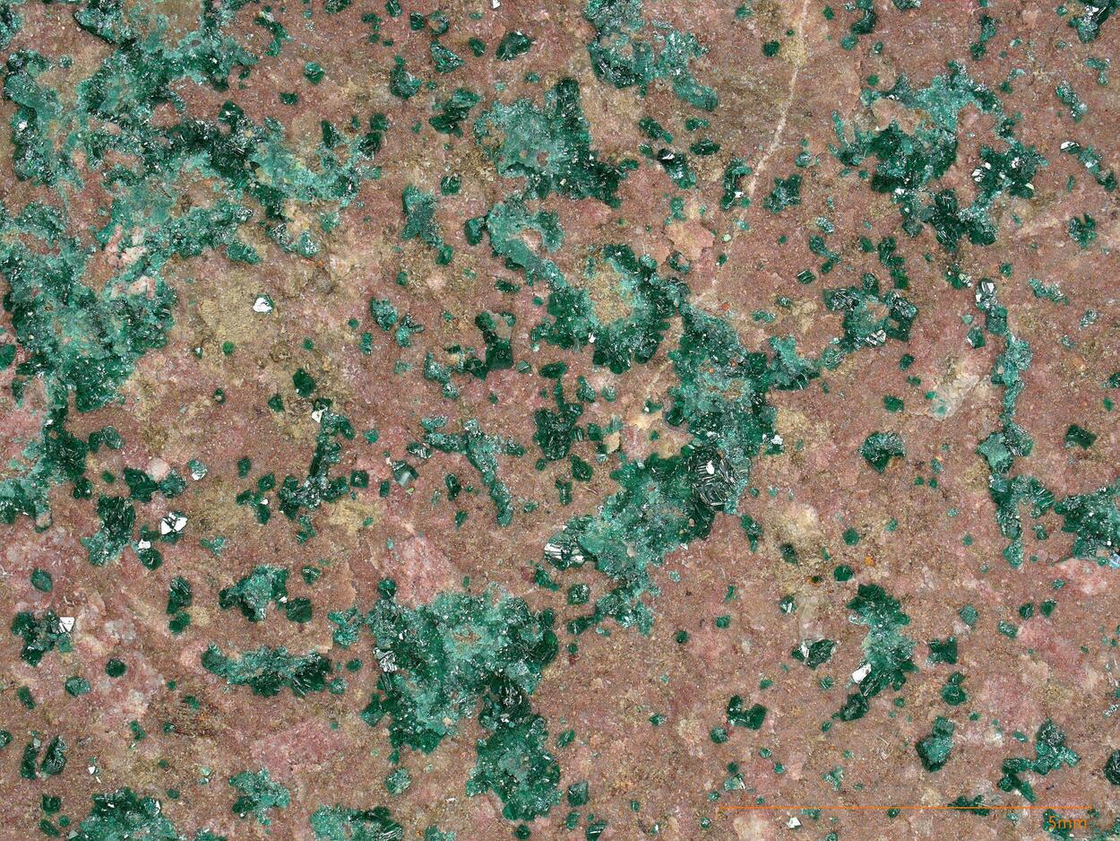 Paratacamite