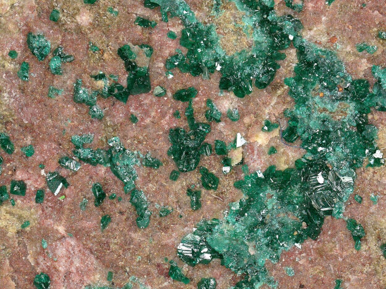 Paratacamite