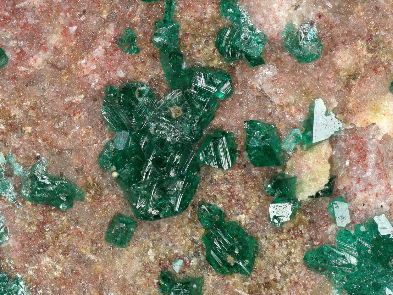 Paratacamite