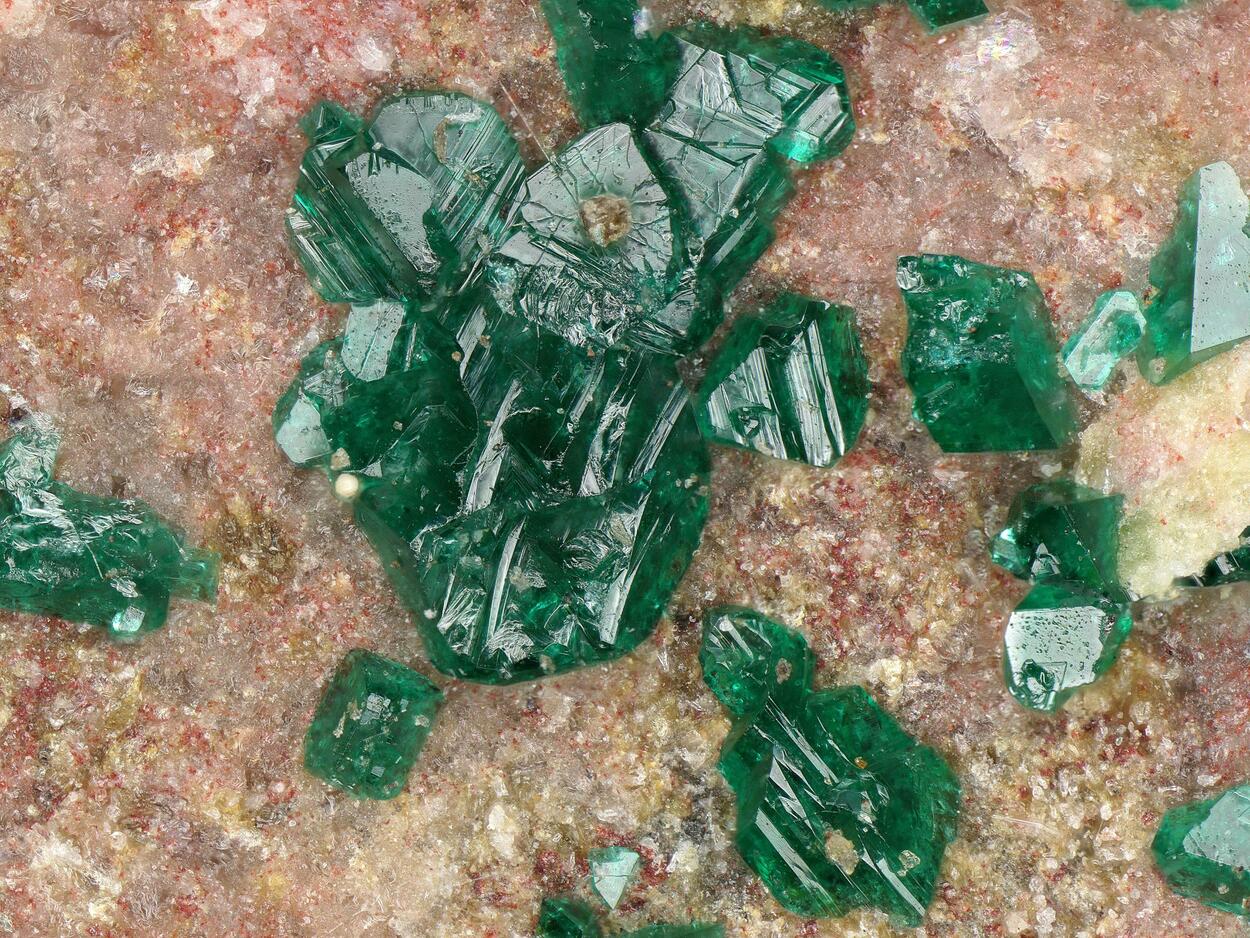 Paratacamite