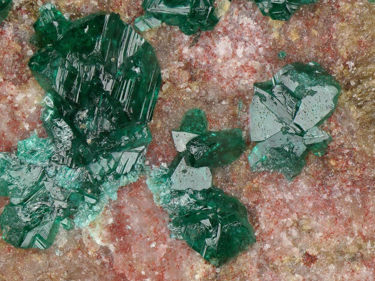 Paratacamite