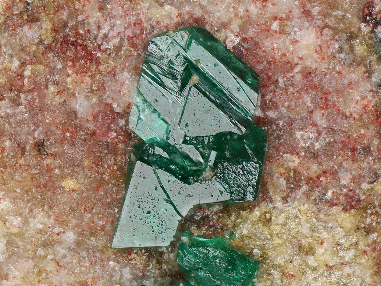 Paratacamite