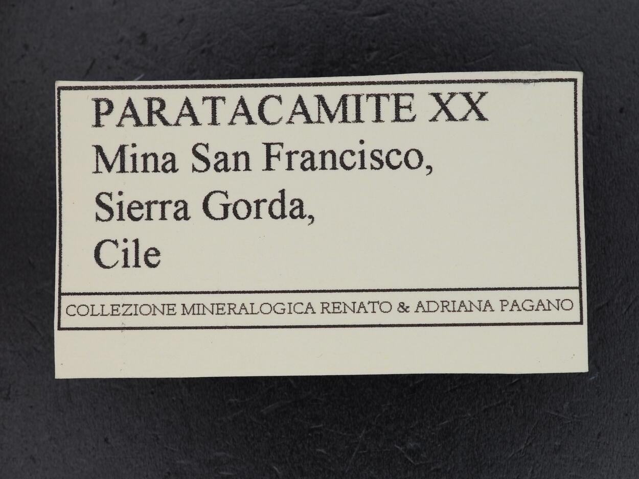 Paratacamite