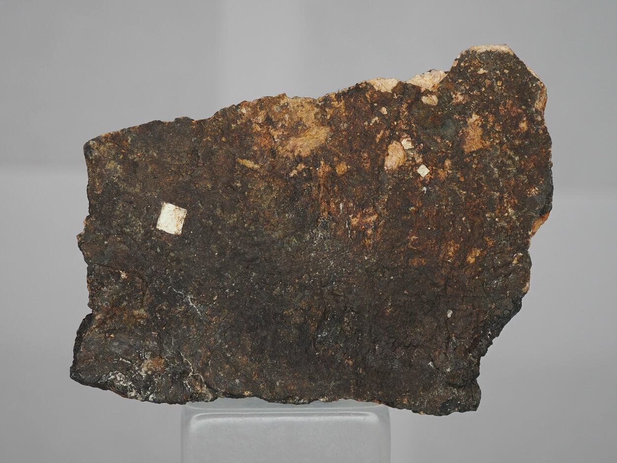 Thorogummite Psm Uraninite