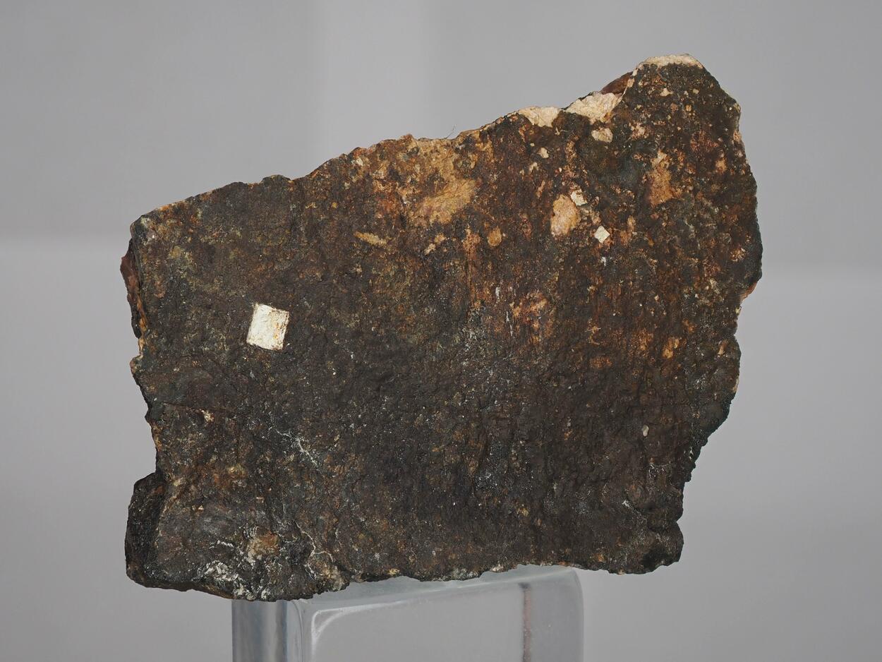 Thorogummite Psm Uraninite