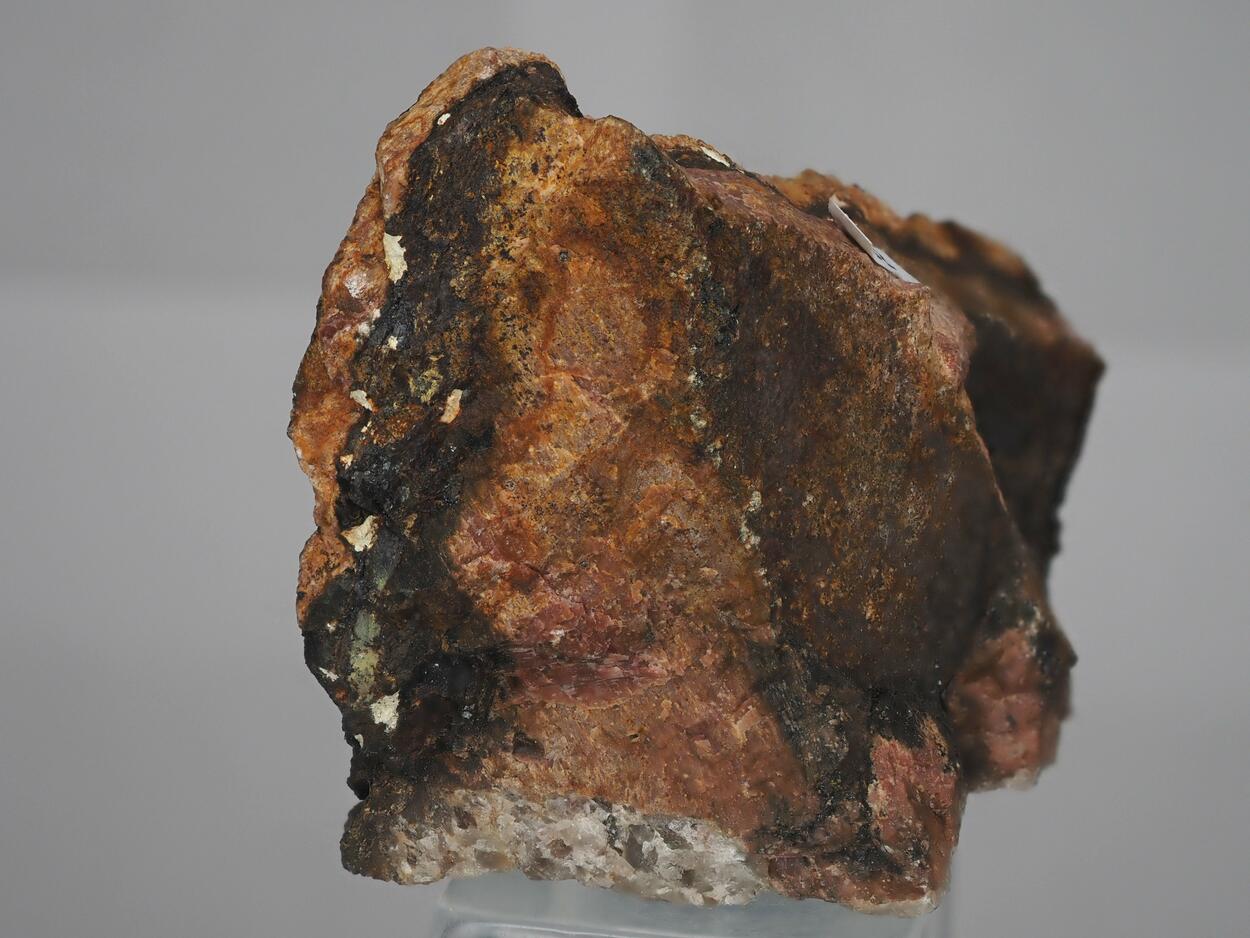 Thorogummite Psm Uraninite