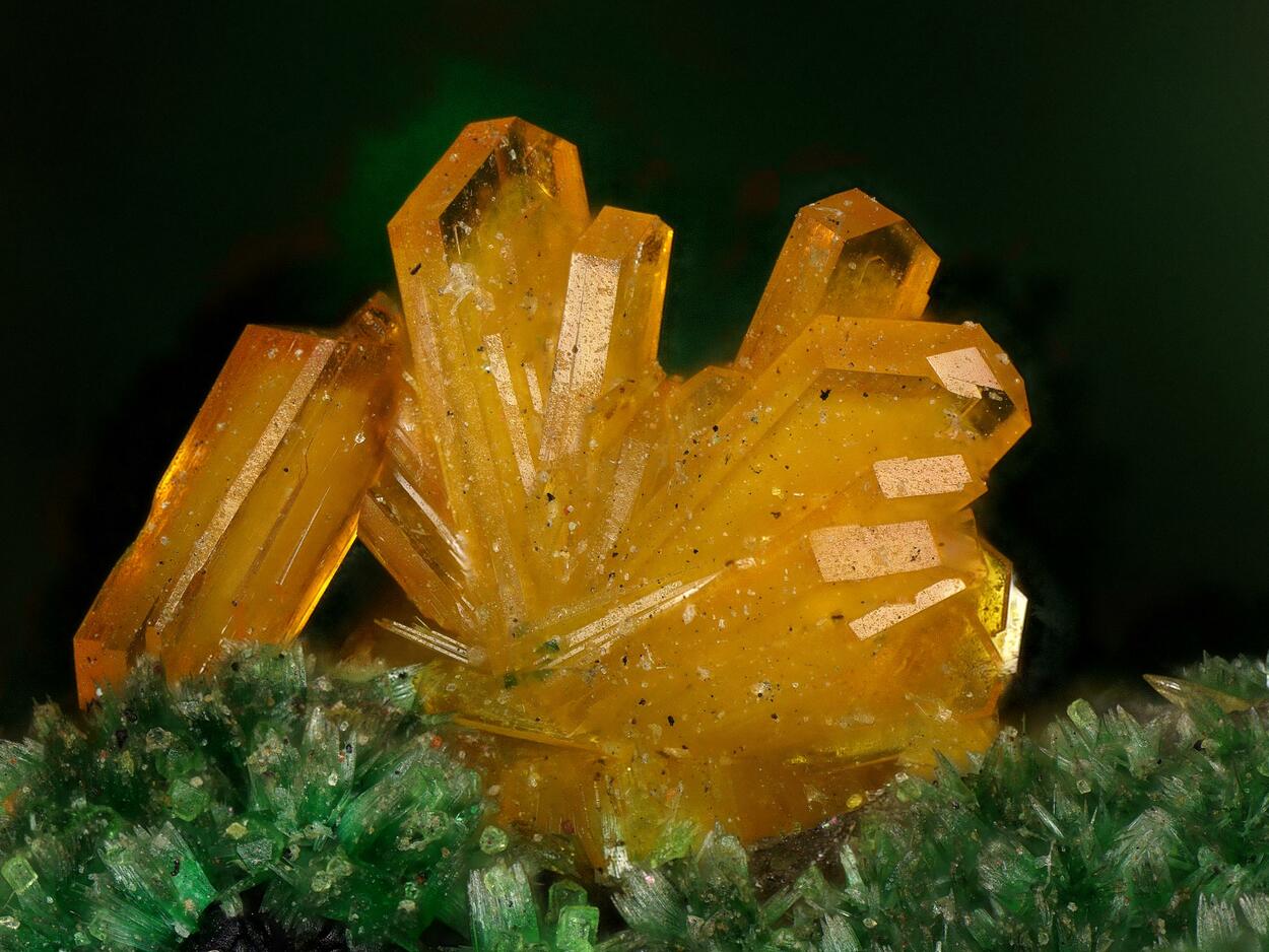 Kasolite