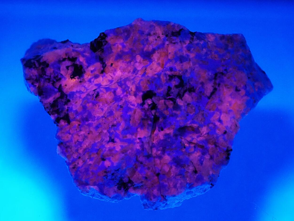 Sodalite Var Hackmanite