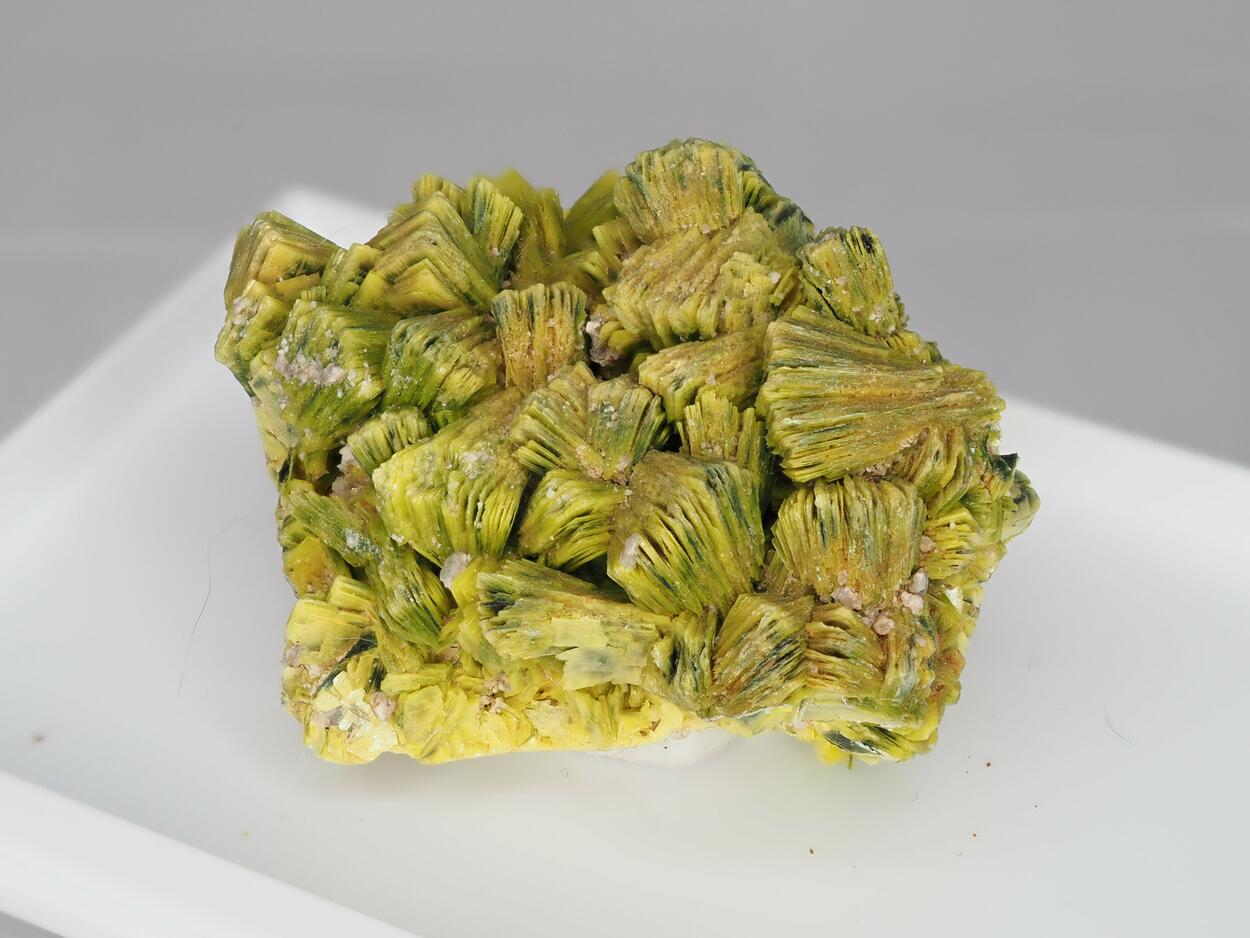 Autunite