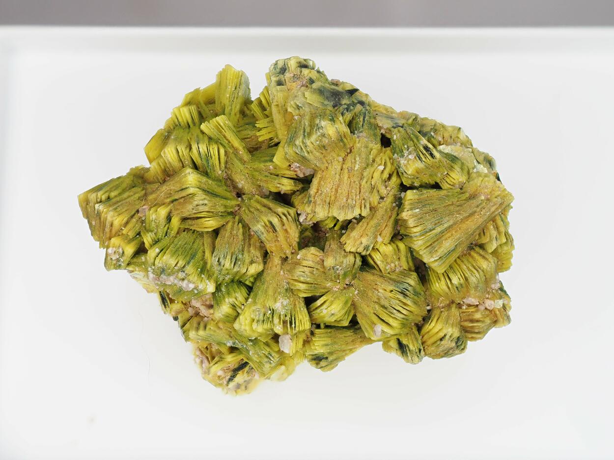 Autunite